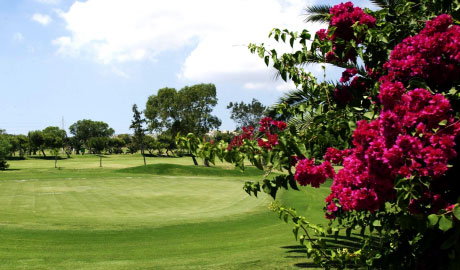 Benvenuti al Royal Golf Club di Malta